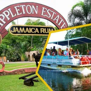 Black River and Appleton Estate Rum Tour