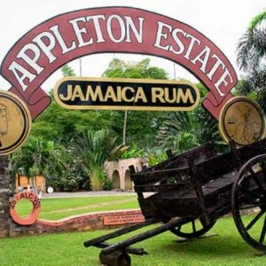 Appleton Estate Rum Tour