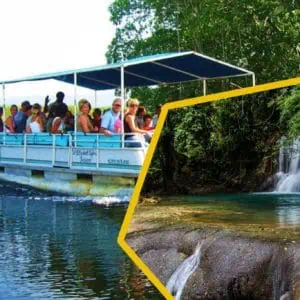 Black River Safari and Ys Falls Tours