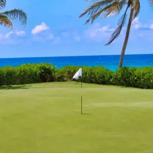 Golfing on Cinnamon Hill Golf Course